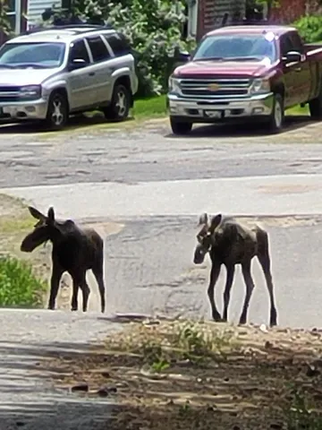 $799,900 | 38 Kuvaja Road, Greenwood, ME 04255