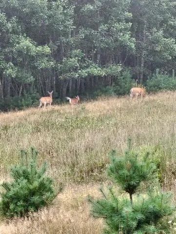 $799,900 | 38 Kuvaja Road, Greenwood, ME 04255