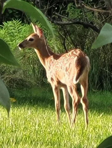 $799,900 | 38 Kuvaja Road, Greenwood, ME 04255