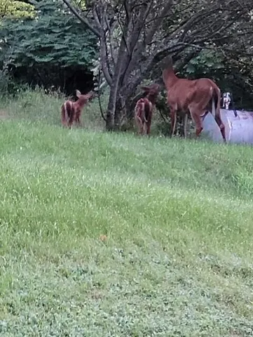 $799,900 | 38 Kuvaja Road, Greenwood, ME 04255