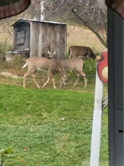 $799,900 | 38 Kuvaja Road, Greenwood, ME 04255