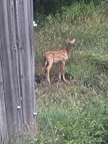 $799,900 | 38 Kuvaja Road, Greenwood, ME 04255