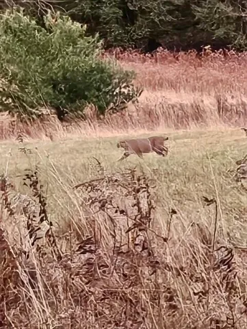 $799,900 | 38 Kuvaja Road, Greenwood, ME 04255