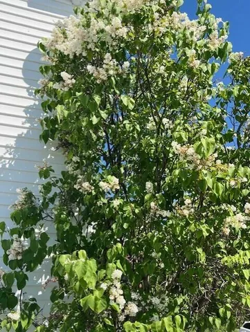 $799,900 | 38 Kuvaja Road, Greenwood, ME 04255