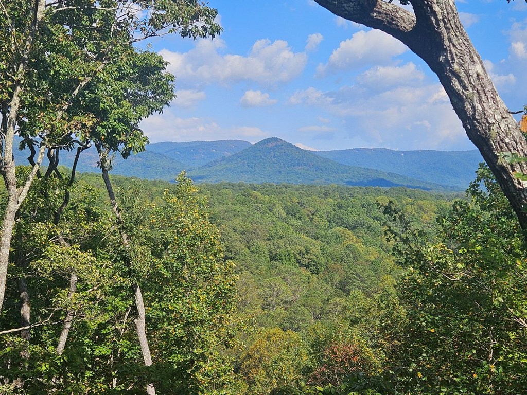 1265 Hunters Ridge Jasper, GA 30143 - Photo 24 of 50 a view of a lush green forest with a mountain in the background