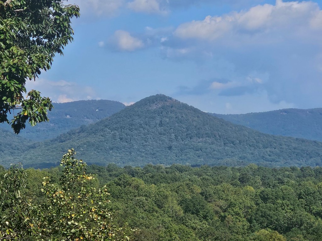1265 Hunters Ridge Jasper, GA 30143 - Photo 3 of 50 a view of mountain and a mountain view