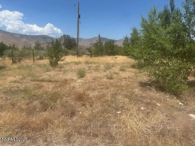 $39,000 | 105 East Side Lane, Coleville, CA 96107