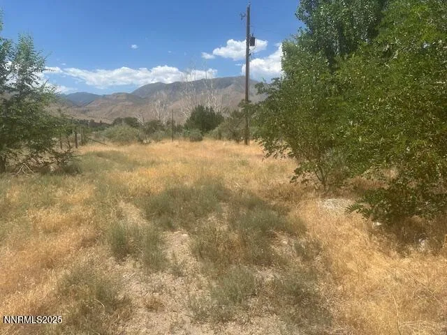 $39,000 | 105 East Side Lane, Coleville, CA 96107