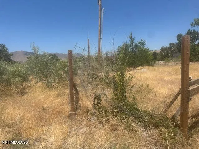 $39,000 | 105 East Side Lane, Coleville, CA 96107