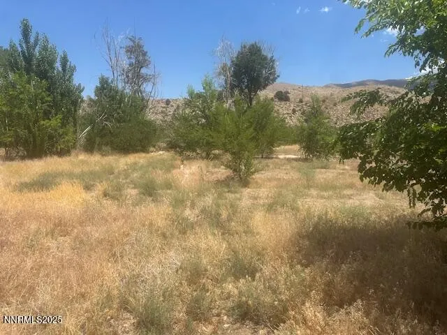 $39,000 | 105 East Side Lane, Coleville, CA 96107