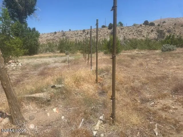 $39,000 | 105 East Side Lane, Coleville, CA 96107