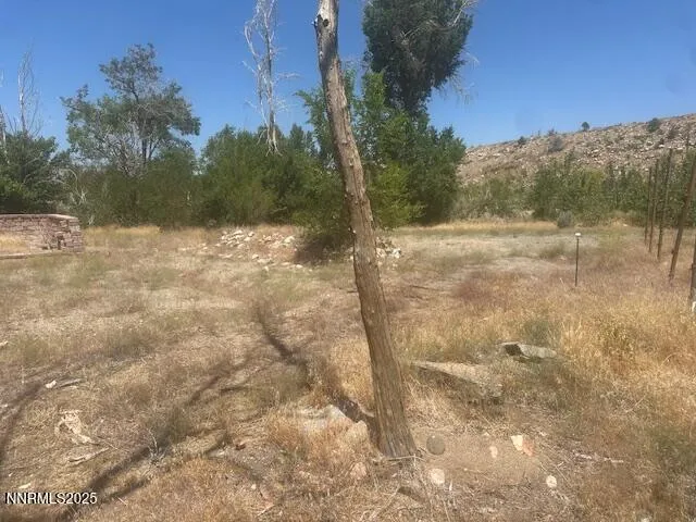 $39,000 | 105 East Side Lane, Coleville, CA 96107