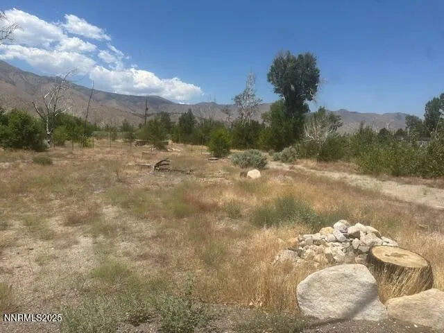 $39,000 | 105 East Side Lane, Coleville, CA 96107