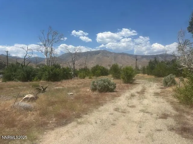 $39,000 | 105 East Side Lane, Coleville, CA 96107