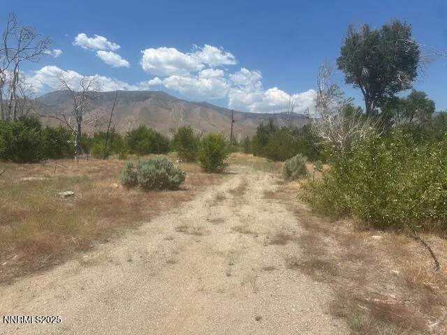 $39,000 | 105 East Side Lane, Coleville, CA 96107