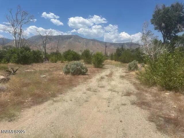 $39,000 | 105 East Side Lane, Coleville, CA 96107