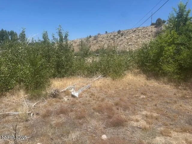 $39,000 | 105 East Side Lane, Coleville, CA 96107