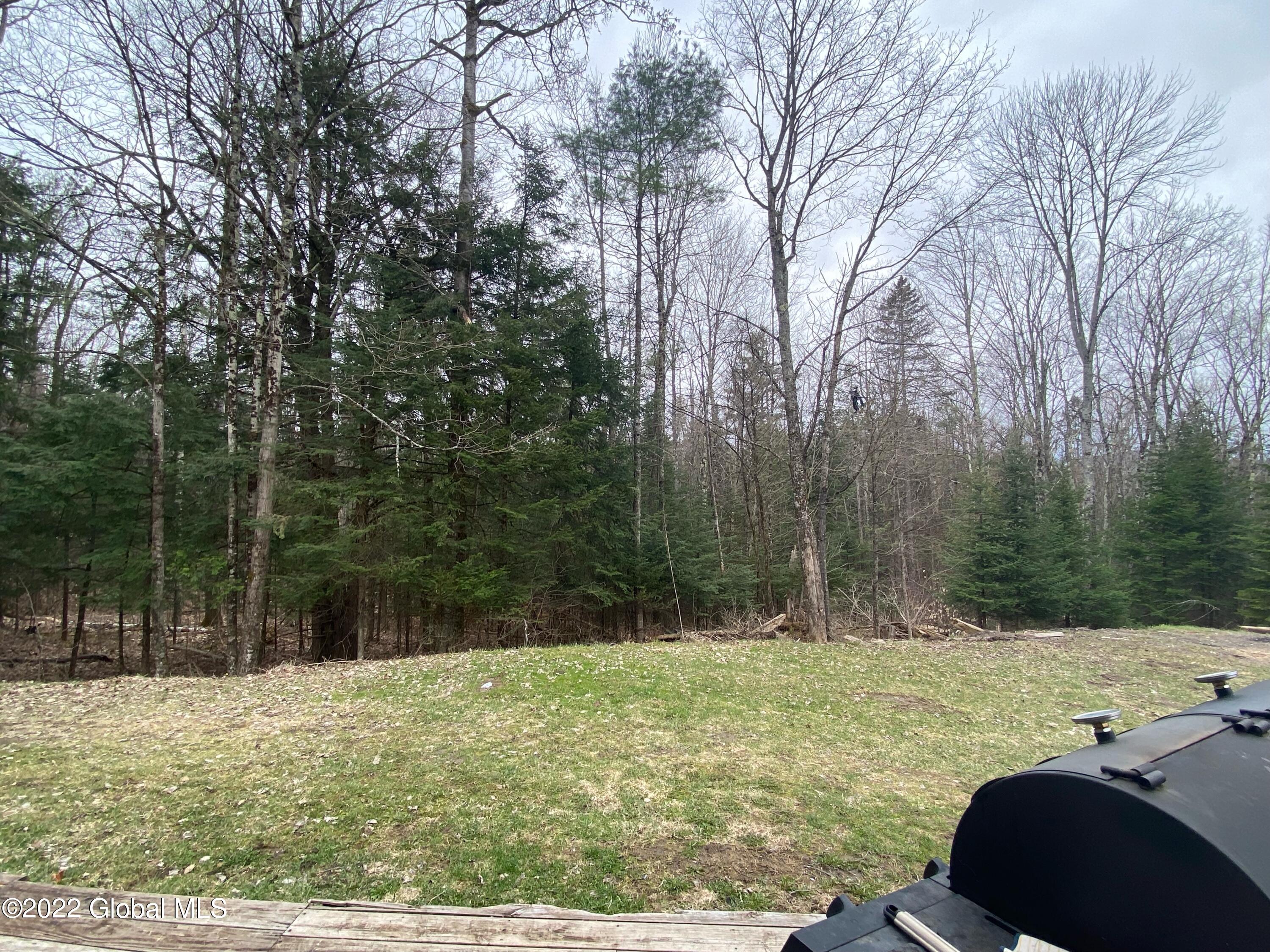 688 Hogback Road Crown Point, NY 12928 - Photo 32 of 34 WOODS BEHIND PROPERTY