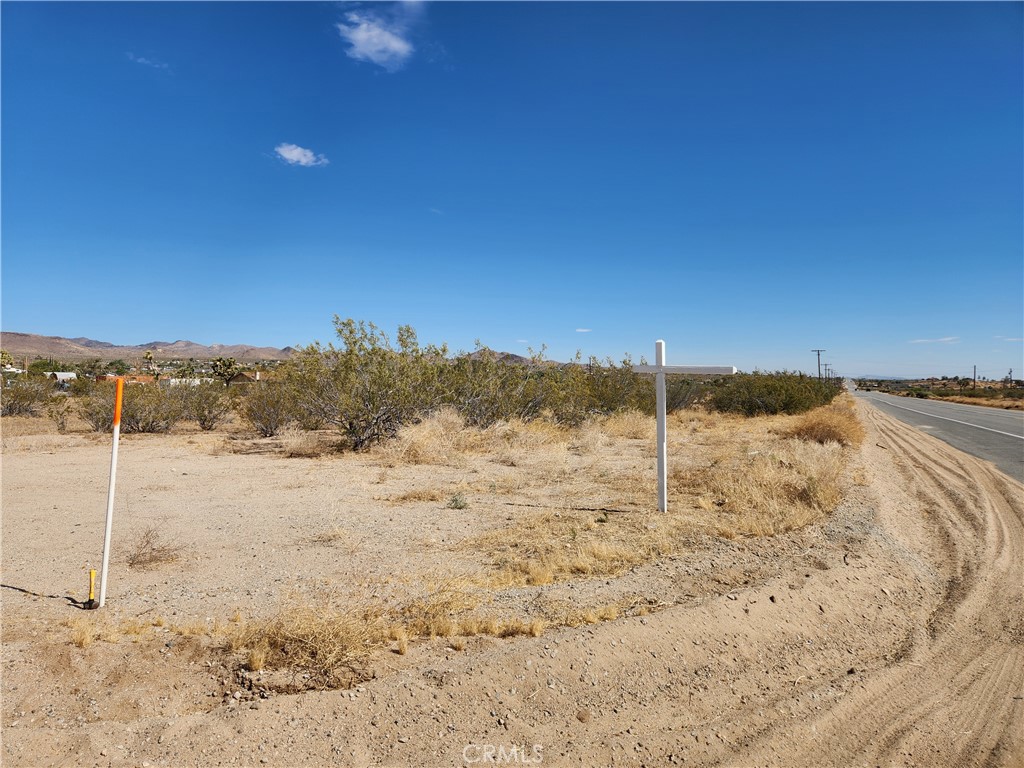 1901 Old Woman Springs Road Yucca Valley, CA 92284 - Photo 3 of 10 a view of a dry yard