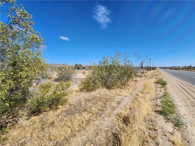 a view of a dry yard with wooden fence