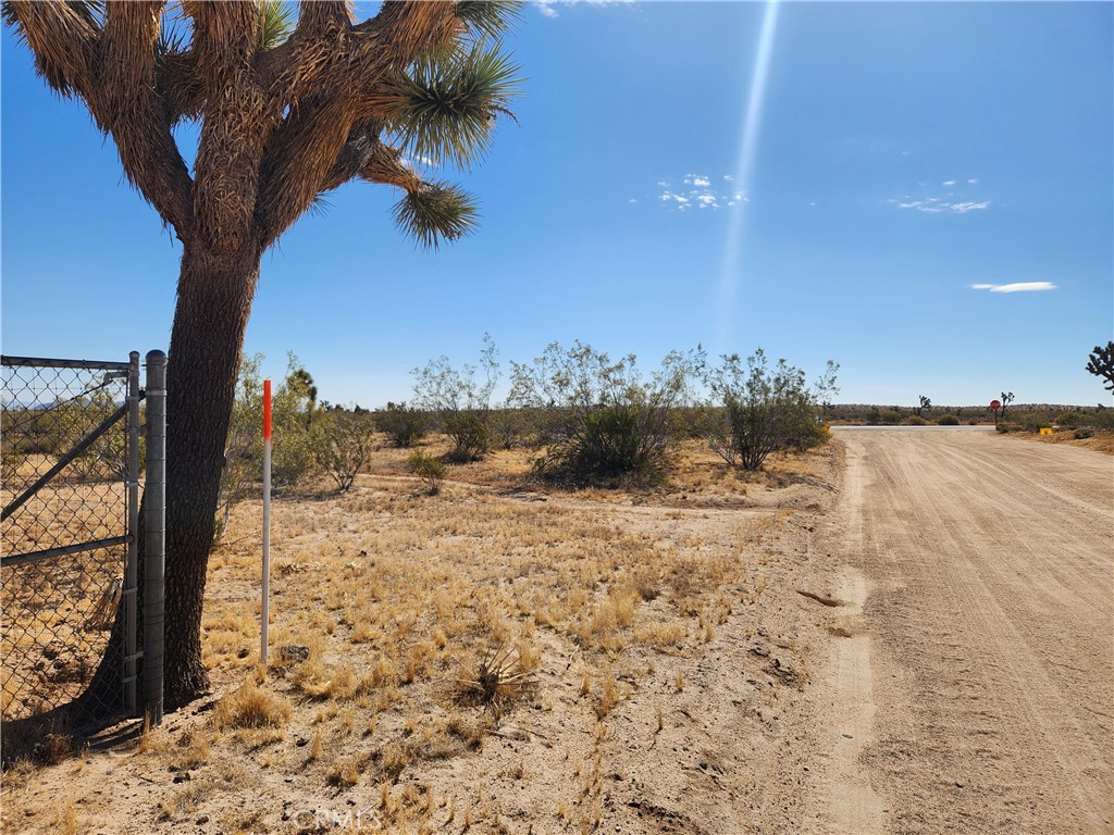 1901 Old Woman Springs Road Yucca Valley, CA 92284 - Photo 6 of 10 a view of ocean view with large trees