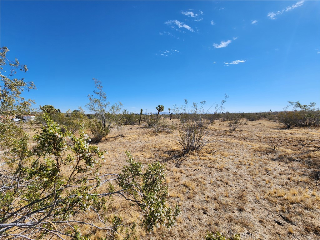 1901 Old Woman Springs Road Yucca Valley, CA 92284 - Photo 7 of 10 a view of a large building with mountains in the background
