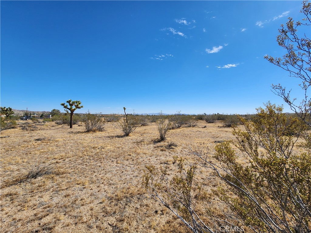 1901 Old Woman Springs Road Yucca Valley, CA 92284 - Photo 8 of 10 a view of a sky