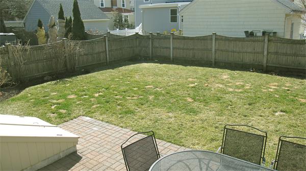 9 Glendale Road Marblehead, MA 01945 - Photo 12 of 13 a view of a backyard