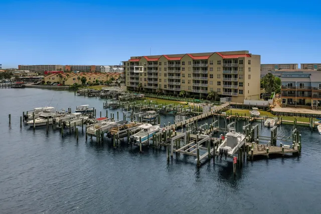 a view of a street with potted plants and a large tree