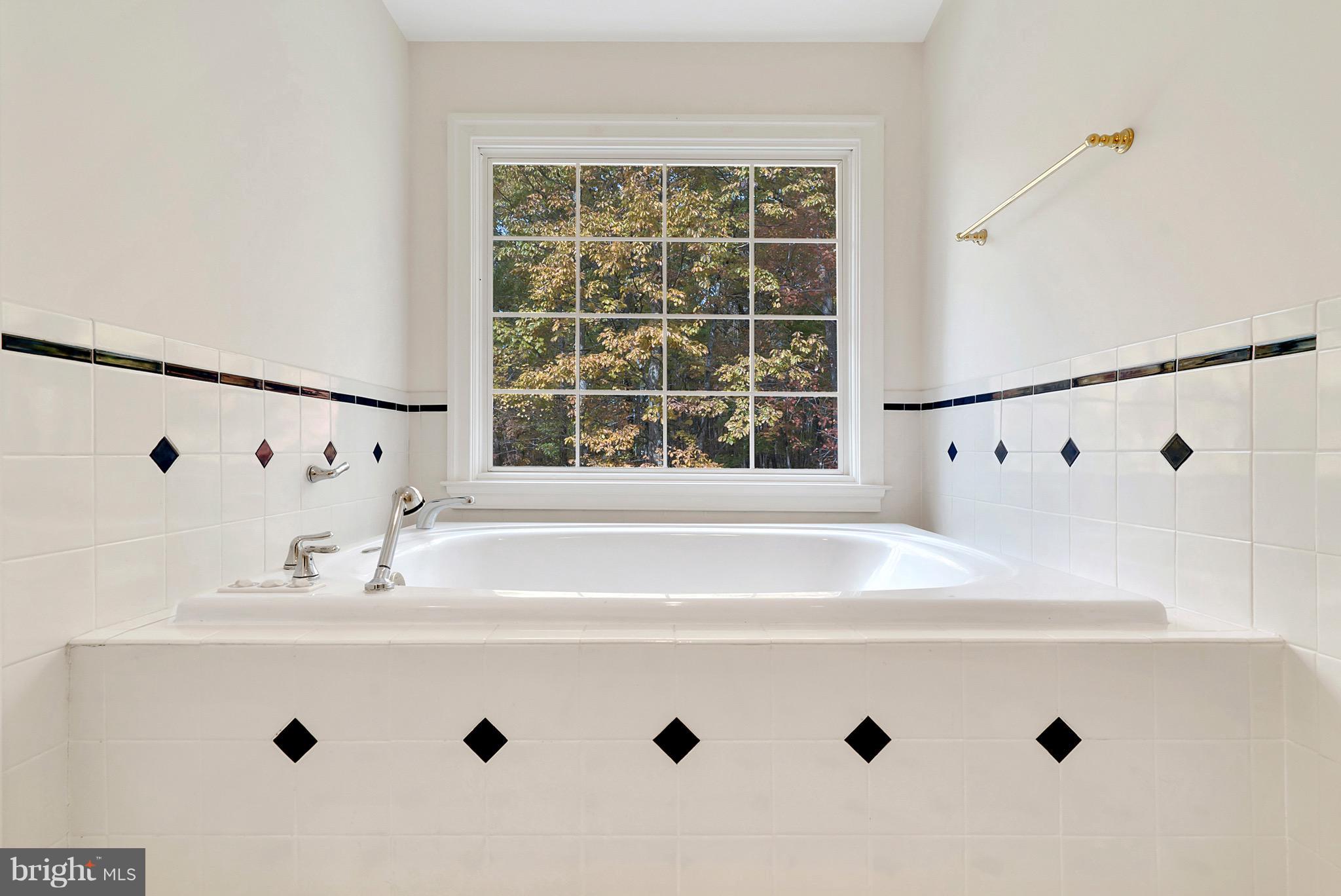 10504 Warland Road Marshall, VA 20115 - Photo 22 of 25 Bath (Master)