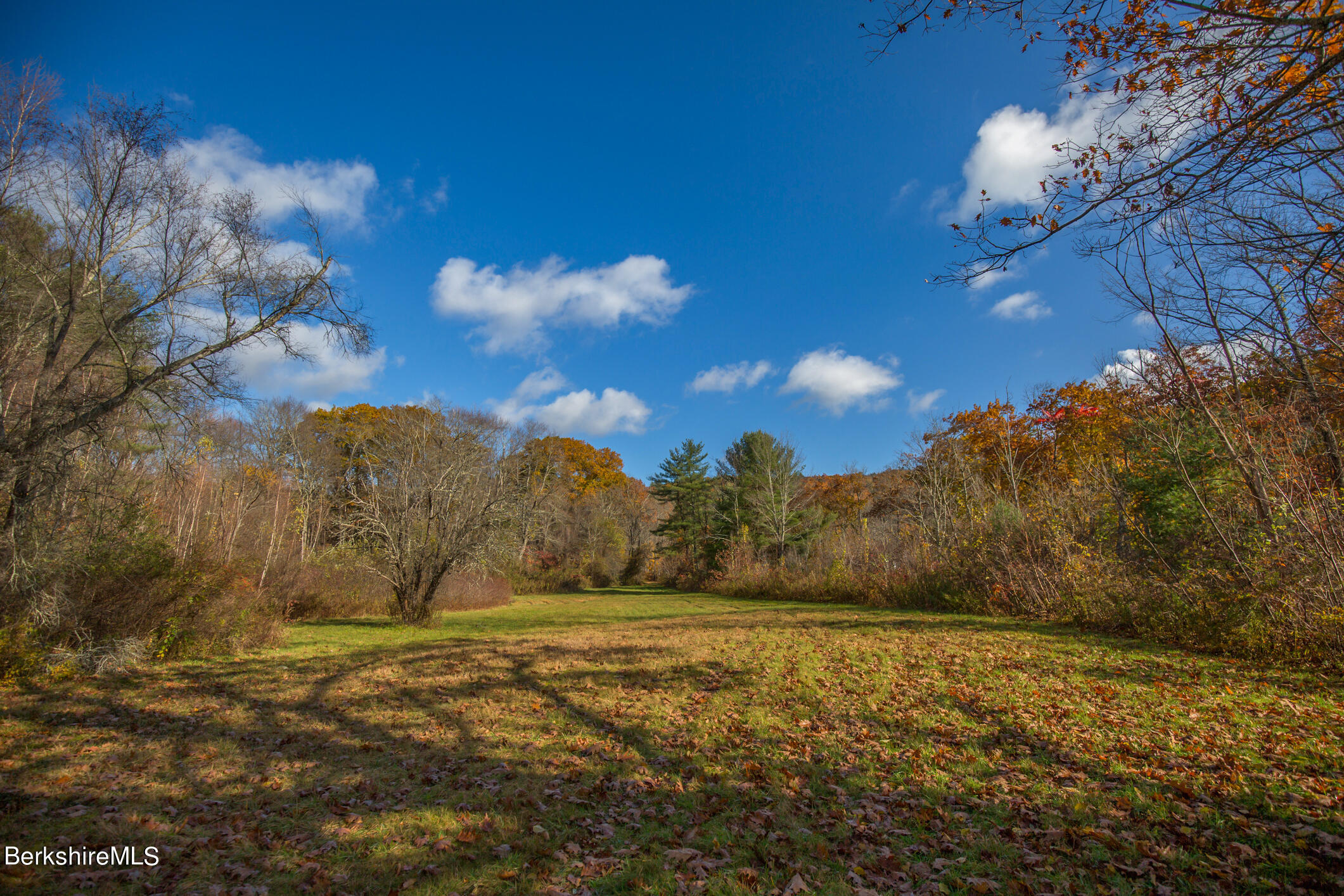 3 Sandisfield Road Sandisfield, MA 01255 - Photo 6 of 49 a view of a yard