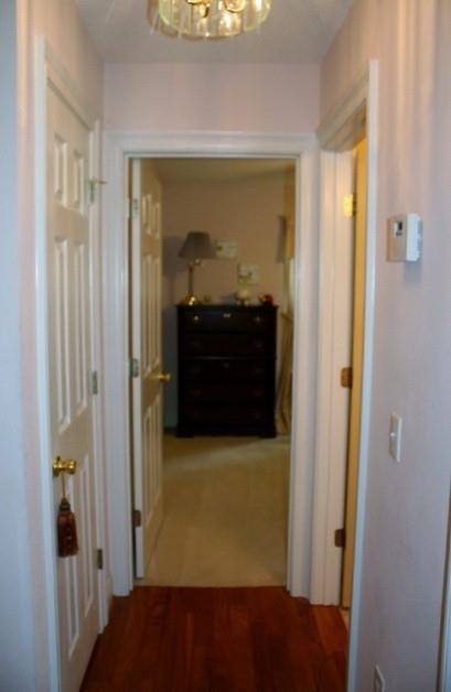 3053 Red Fern Road Cantonment, FL 32533 - Photo 26 of 32 Gallery Image 26