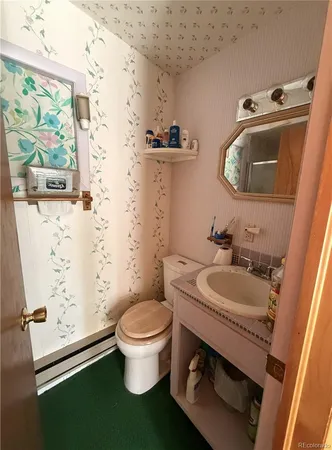 a bathroom with a sink and a toilet