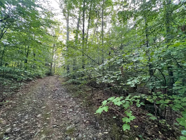 $105,000 | 38 Chadwick Hill Road, Webster, NH 03303