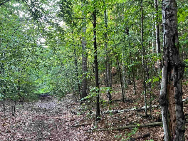 $105,000 | 38 Chadwick Hill Road, Webster, NH 03303