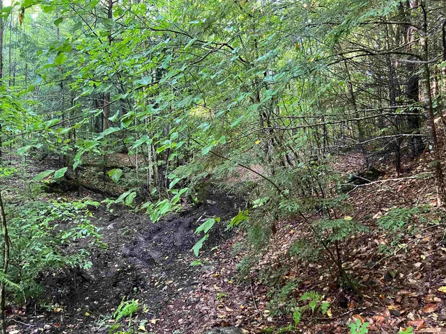 $105,000 | 38 Chadwick Hill Road, Webster, NH 03303