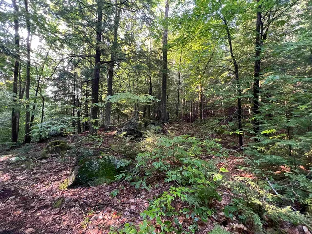 $105,000 | 38 Chadwick Hill Road, Webster, NH 03303