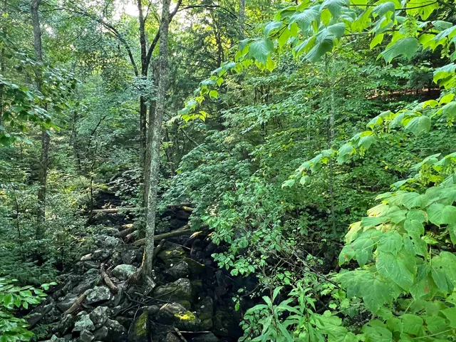 $105,000 | 38 Chadwick Hill Road, Webster, NH 03303