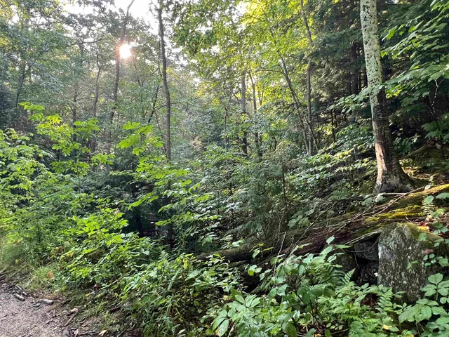 $105,000 | 38 Chadwick Hill Road, Webster, NH 03303