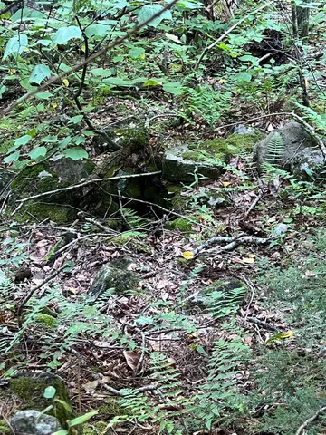 $105,000 | 38 Chadwick Hill Road, Webster, NH 03303