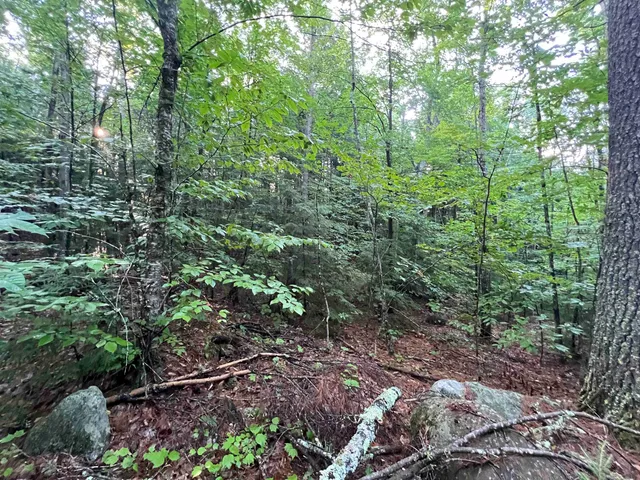 $105,000 | 38 Chadwick Hill Road, Webster, NH 03303