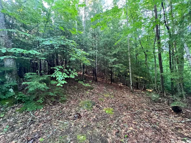 $105,000 | 38 Chadwick Hill Road, Webster, NH 03303