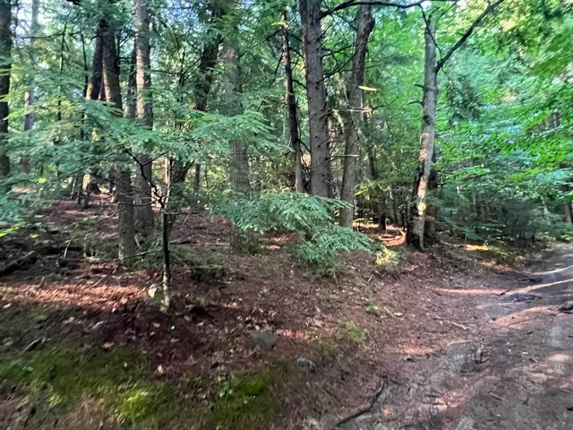 $105,000 | 38 Chadwick Hill Road, Webster, NH 03303