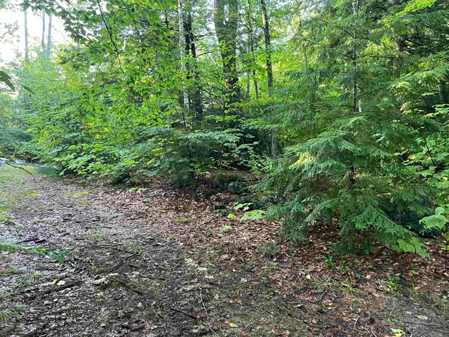 $105,000 | 38 Chadwick Hill Road, Webster, NH 03303