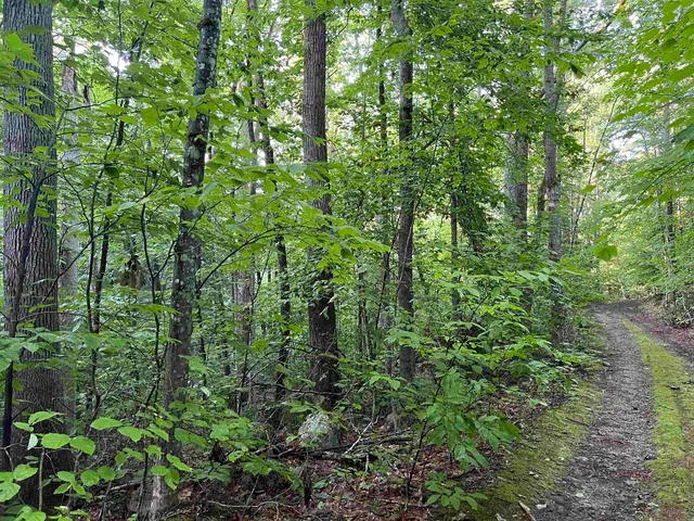 $105,000 | 38 Chadwick Hill Road, Webster, NH 03303