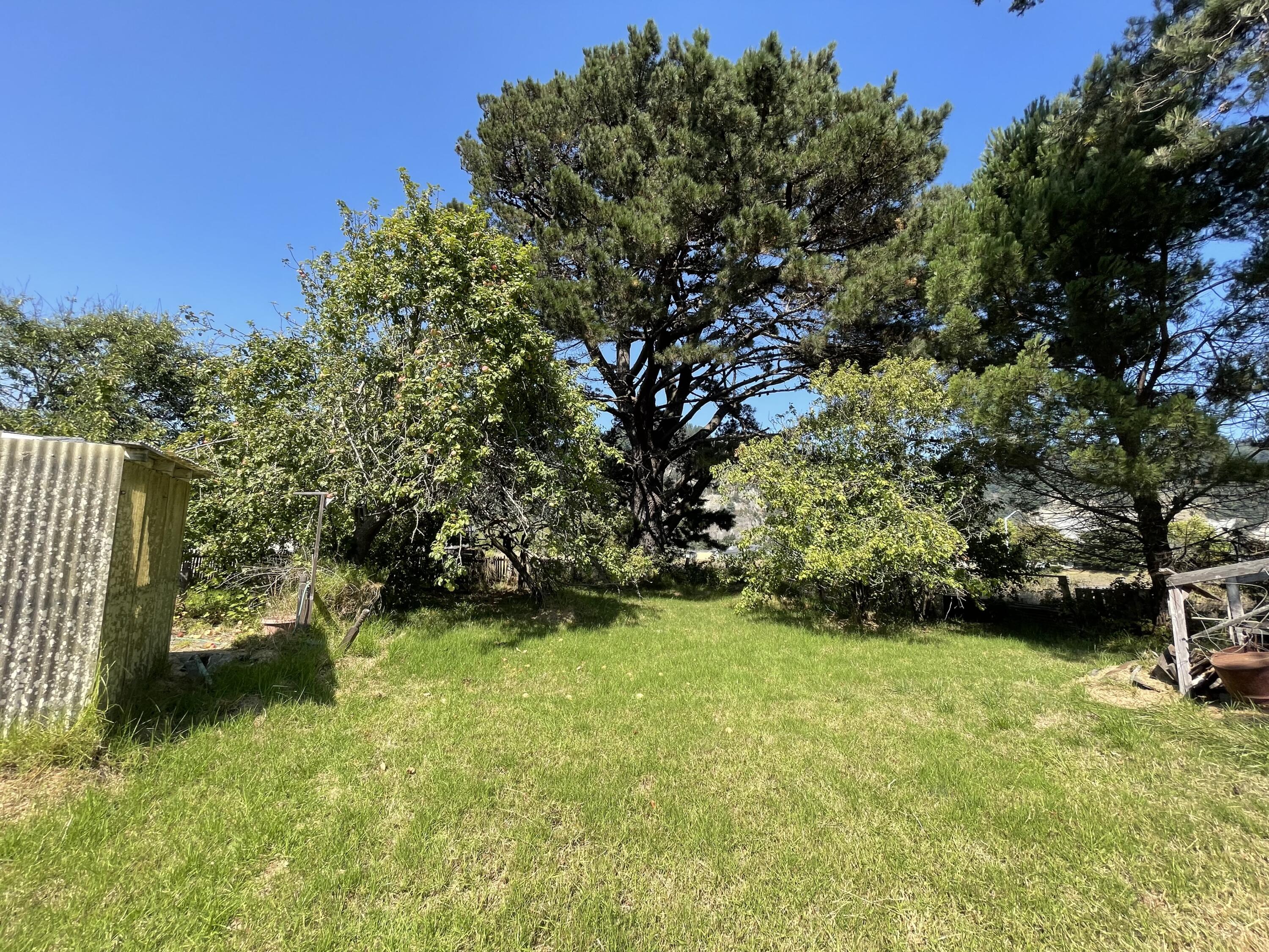 790 Ireland Street Rio Dell, CA 95562 - Photo 8 of 23