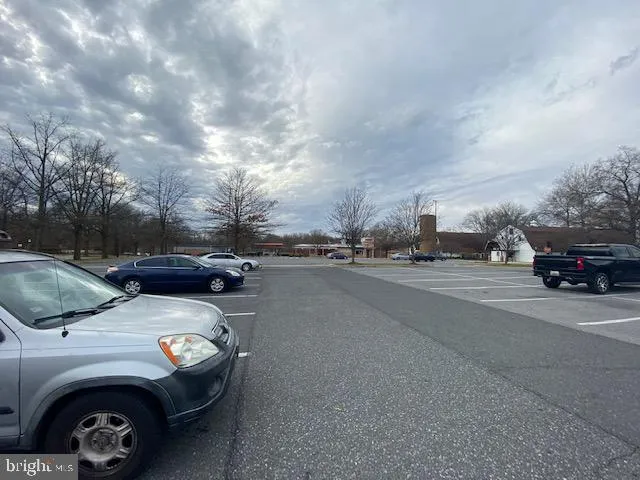 a view of a yard with an trees