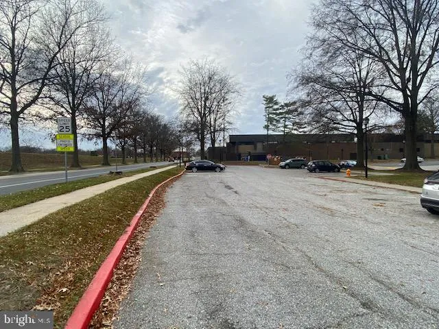 a view of a park with of the trees