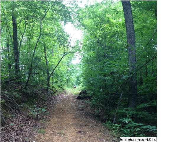 73 County Road, Unit 195 Randolph, AL 36792 - Photo 8 of 13