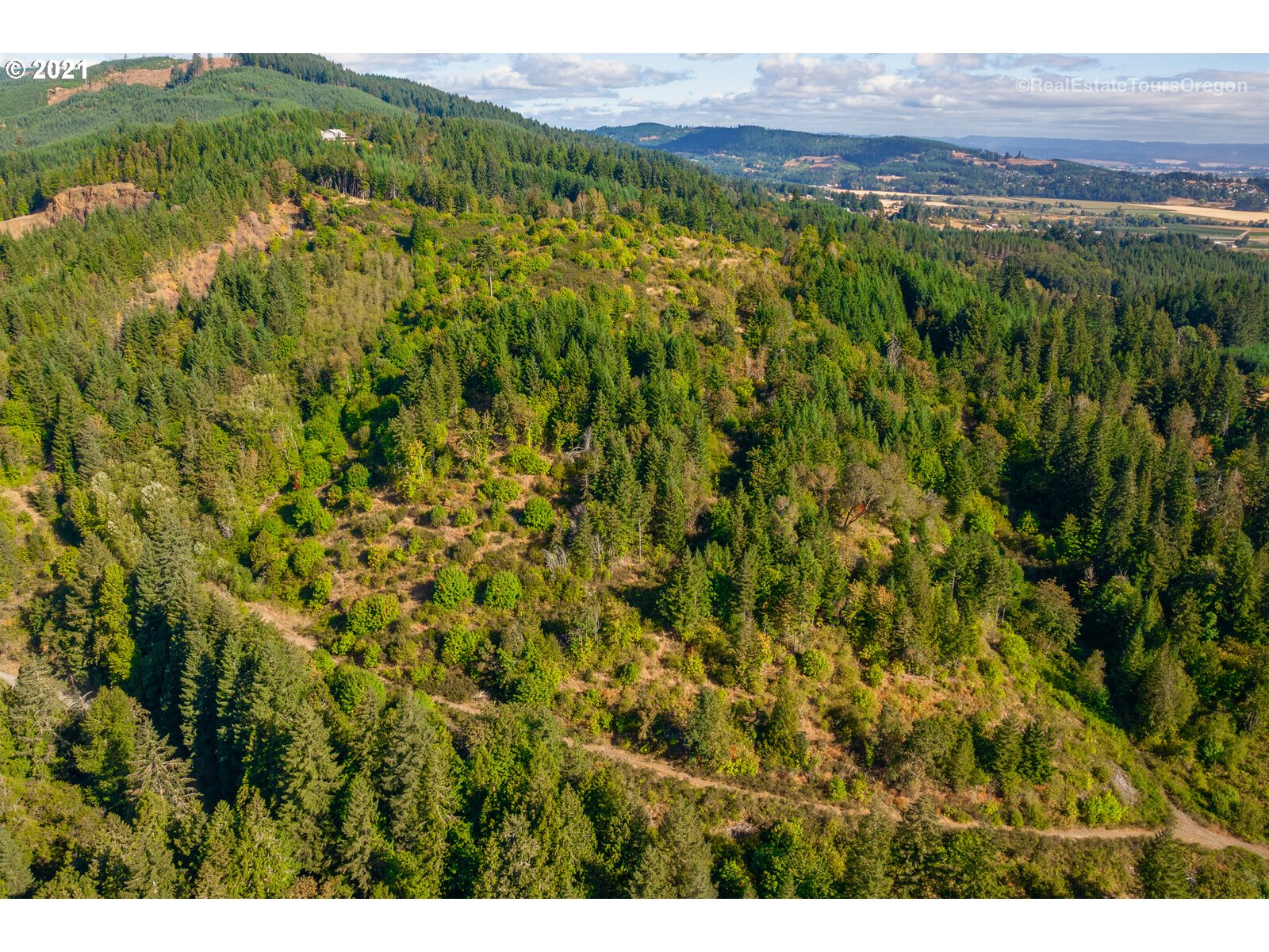 Southwest Carpenter Creek Road Forest Grove, OR 97116 - Photo 4 of 18 a view of a lush green field